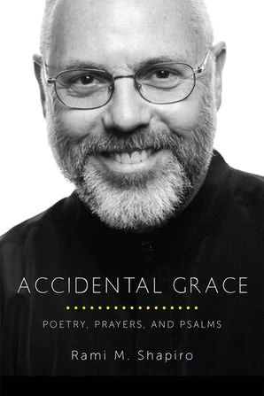 Accidental Grace book cover