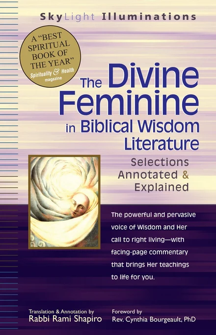 The Divine Feminine in Biblical Wisdom Literature book cover